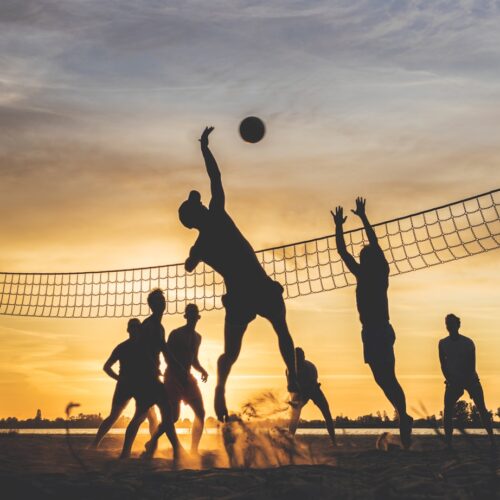 Sports & Outdoor Zakir Husain Delhi College Marketplace ZHDC Marketplace Vendor Dashboard